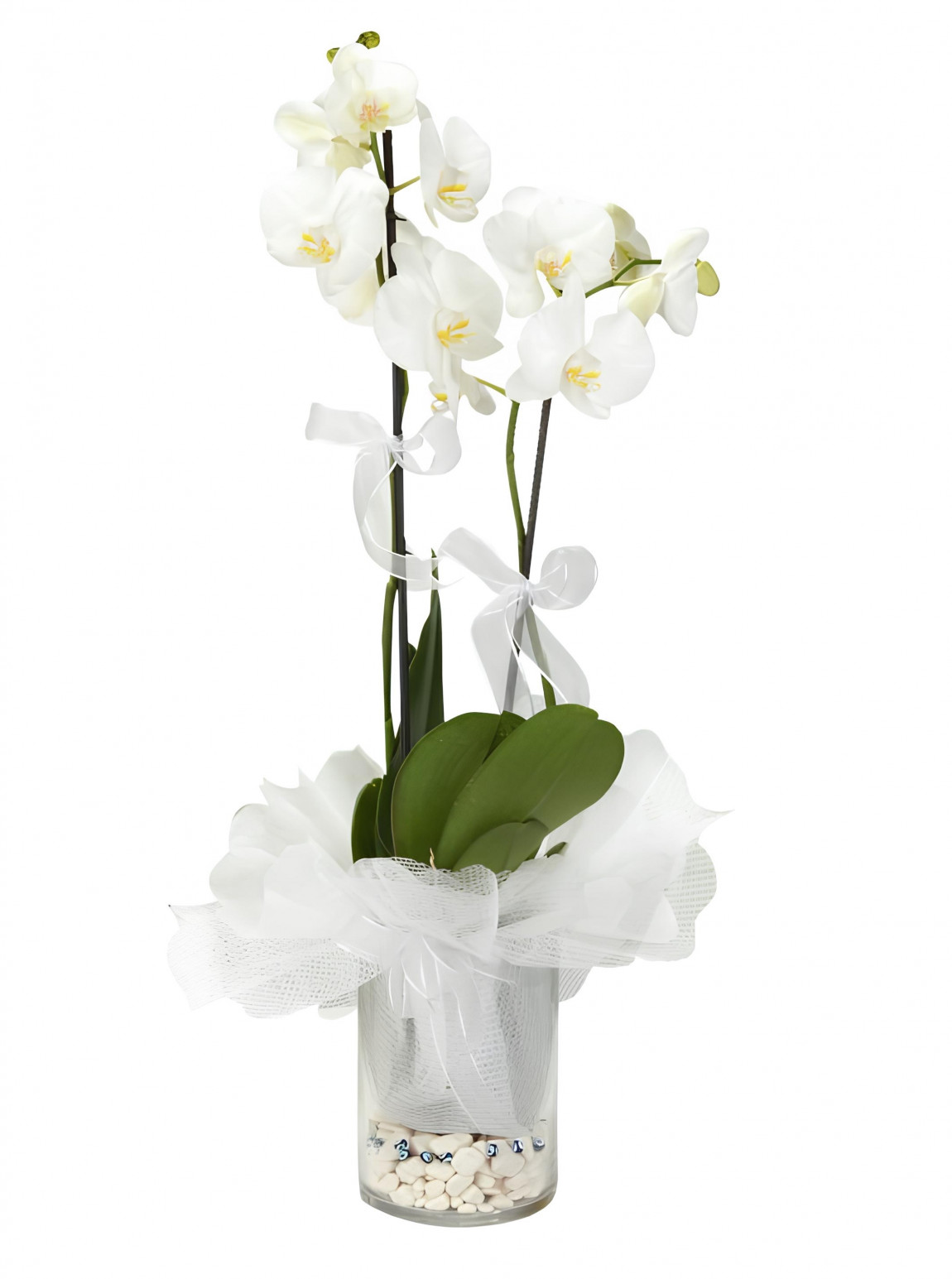 Cam Vazoda Süslü Orkideler