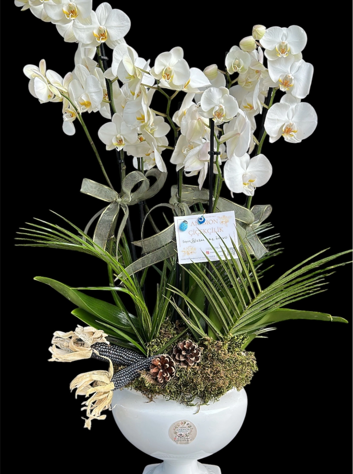 Kadeh Serami̇k’te 4 Dalli Orkide