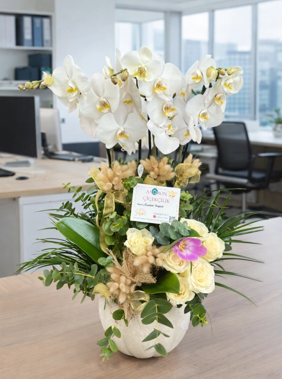 4Dalli Beyaz Orki̇de Arajmanli