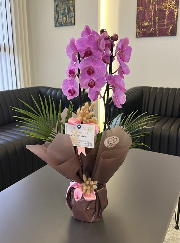 Çi̇ft Dalli Pembe Orki̇de