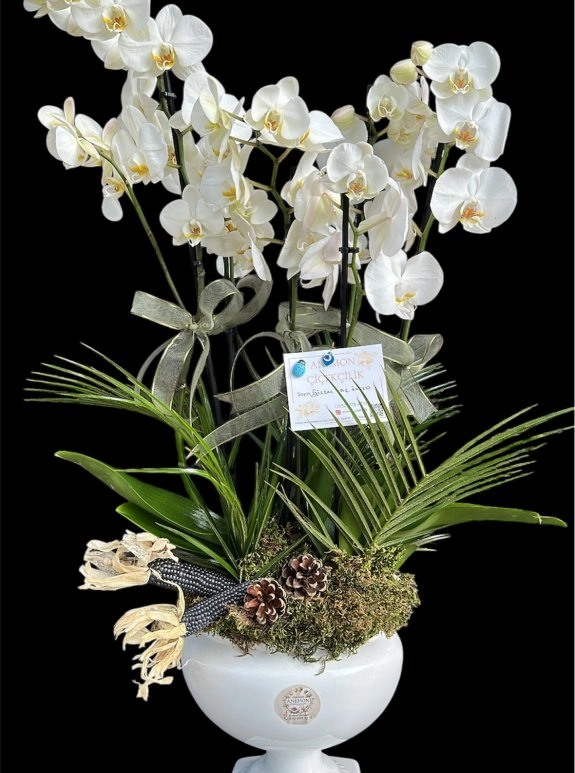 Kadeh Serami̇k’te 4 Dalli Orkide