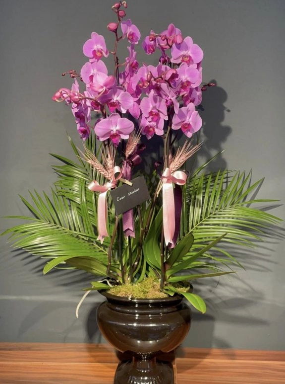 Kadeh Serami̇kte 4 Dalli Orki̇de