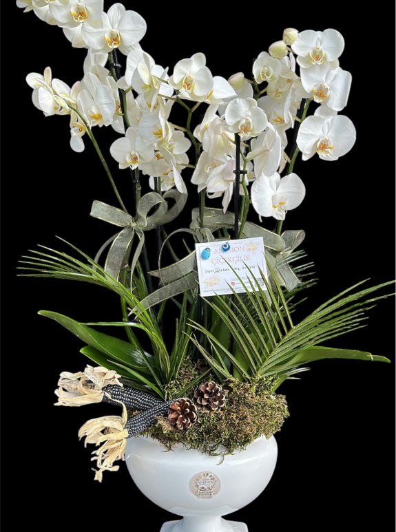 Kadeh Serami̇k’te 4 Dalli Orkide