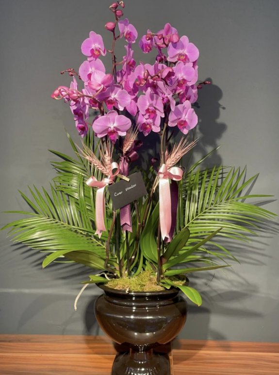 Kadeh Serami̇kte 4 Dalli Orki̇de